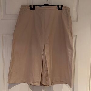 Ann Taylor A-Line Tan Skirt
